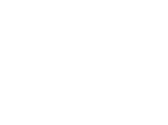 Pino Logo